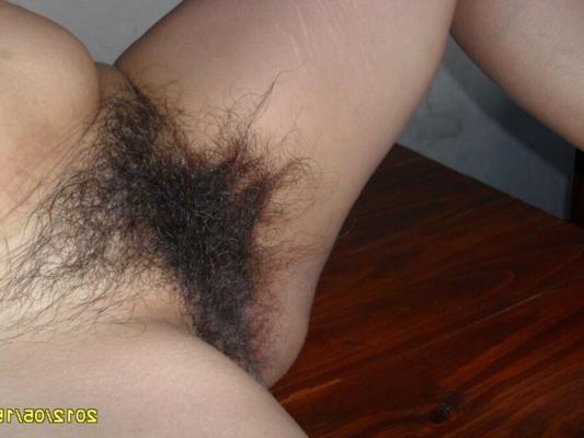 Hairy pussy