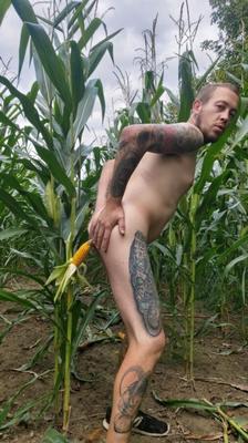 Balade dans le ma�s / Walk in the corn