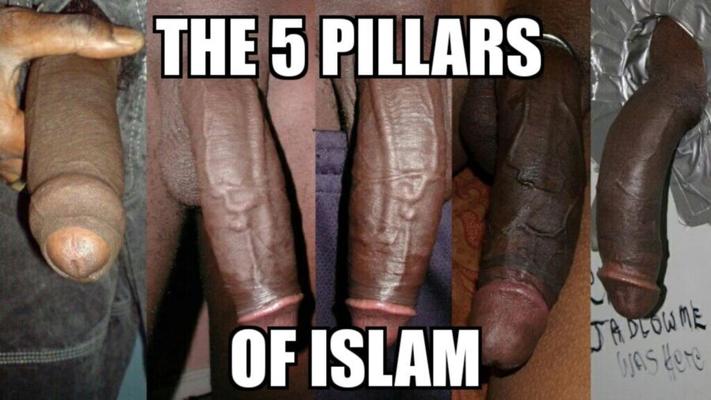 more horny muslims