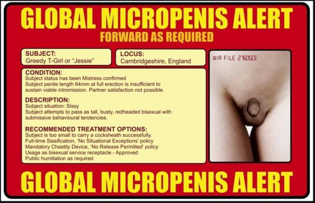 Alerta global de micropênis