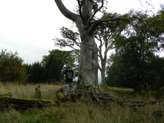 Lancer du bosquet bricoleur