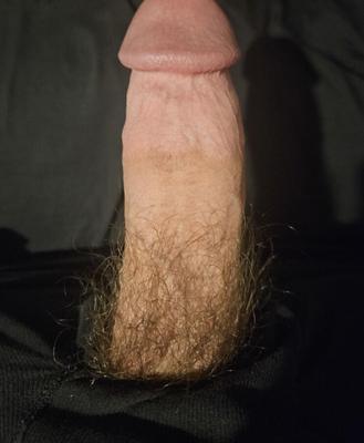 Hairy penis