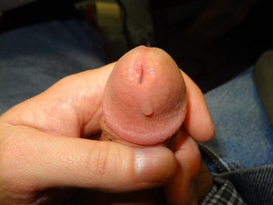 Precum-Bilder