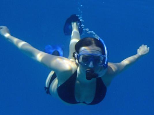 Hermosa Shelly - Buceo