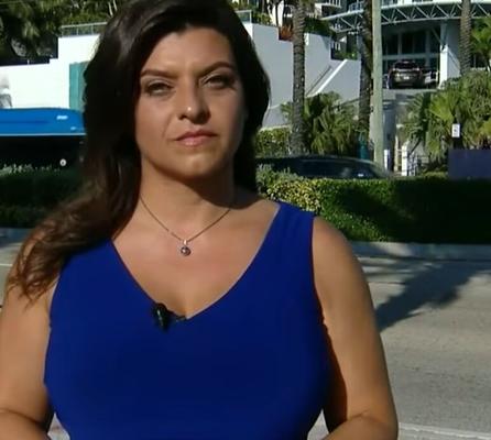 Busty News Reporter