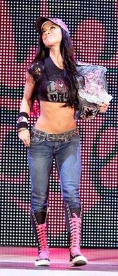 AJ Lee Hutbilder