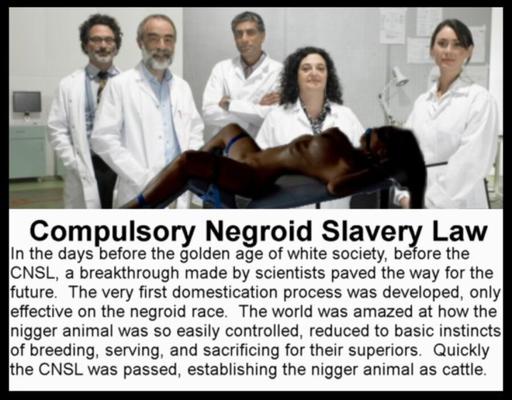 CNSL - Nigger Study and Domestication