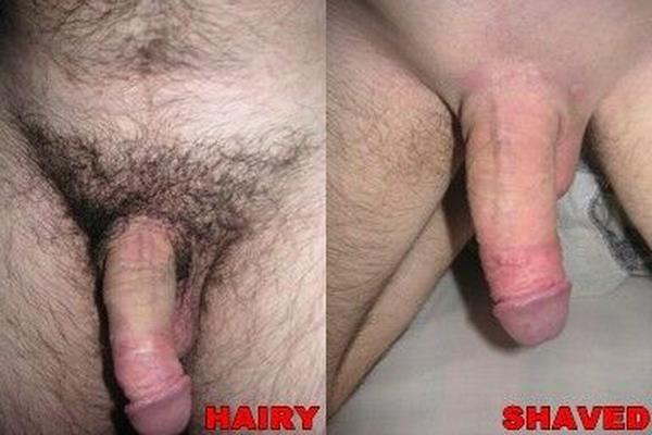 Hairy or Shaved