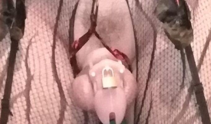 Tiny Clit prepares to travel : punishment time