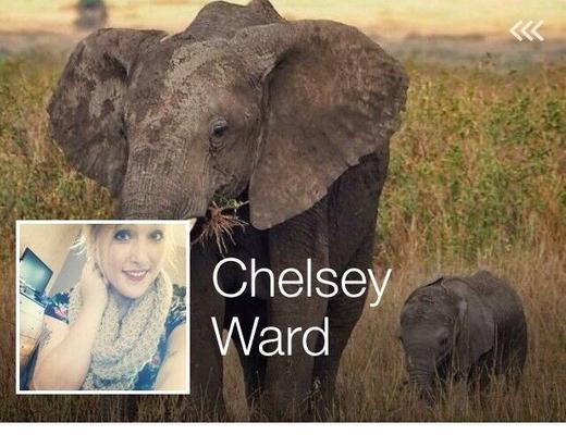 Expose Chelsey Ward (powell) from Akron Ohio