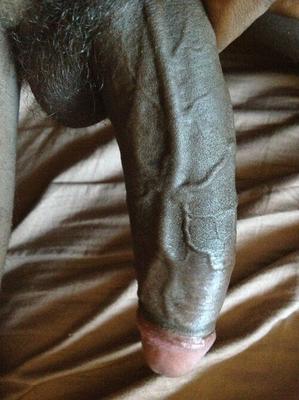 Veiny Cocks Schwarze Version