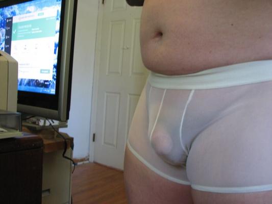 Barely There underwear