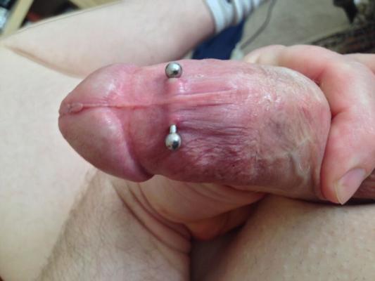 My pierced cock